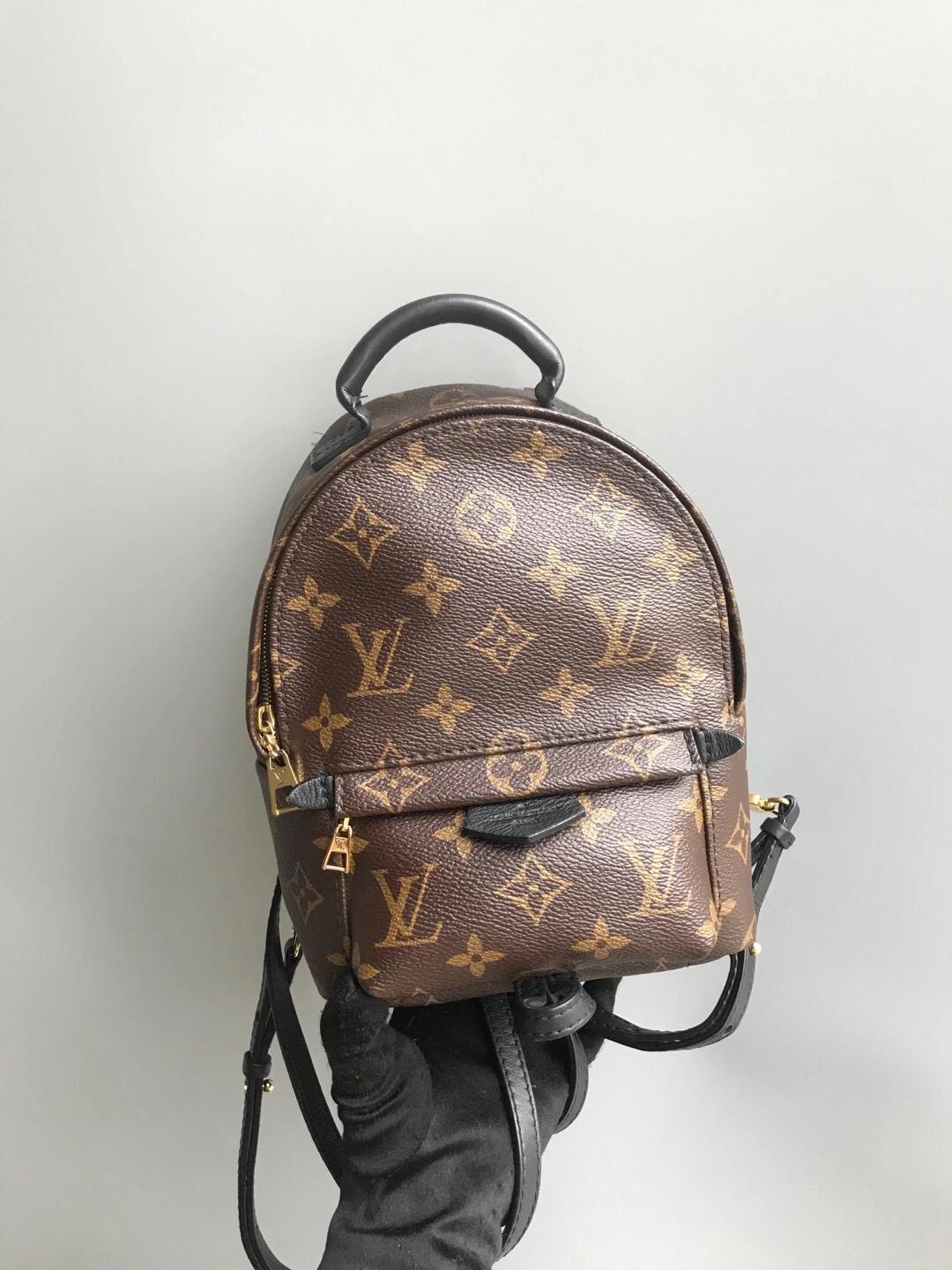 Louis-Vuitton Palm Springs Monogram Mini Canvas Backpack