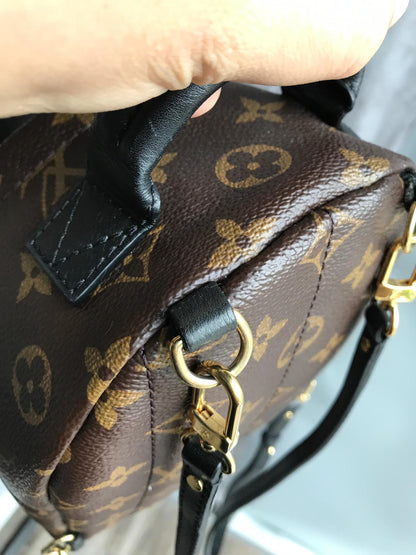 Louis-Vuitton Palm Springs Monogram Mini Canvas Backpack
