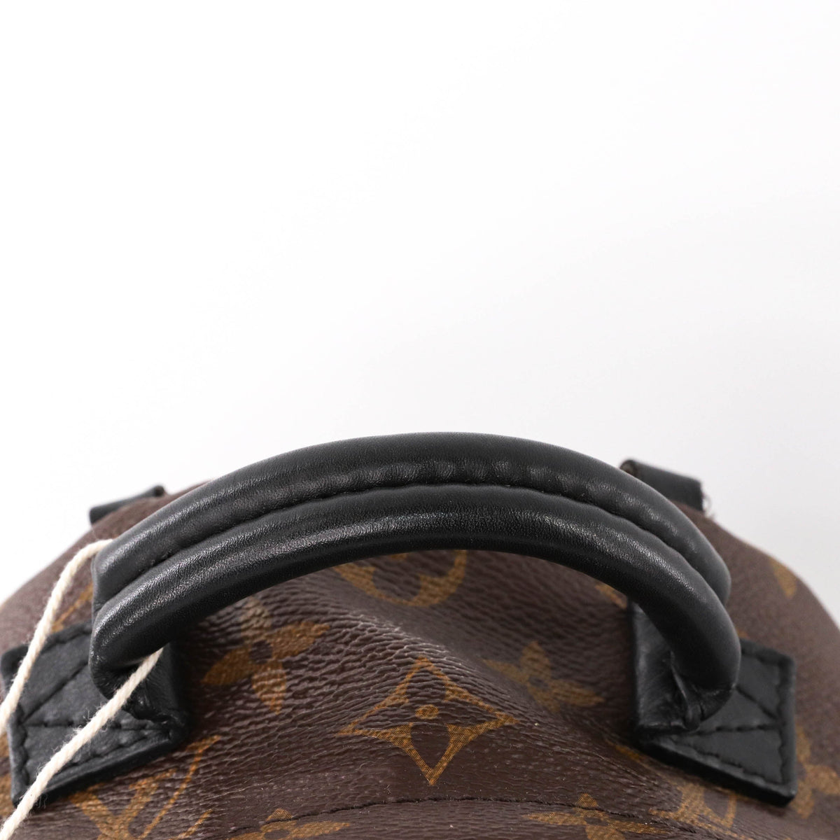 Louis-Vuitton Palm Springs Mini Backpack Monogram Canvas