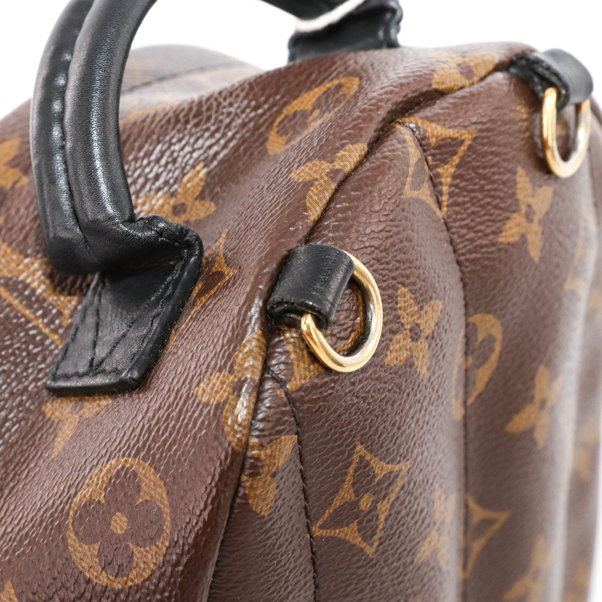 Louis-Vuitton Palm Springs Mini Backpack Monogram Canvas
