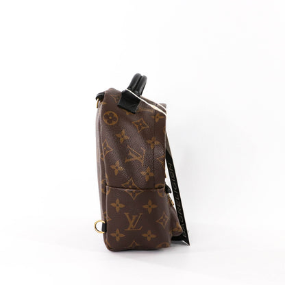 Louis-Vuitton Palm Springs Mini Backpack Monogram Canvas