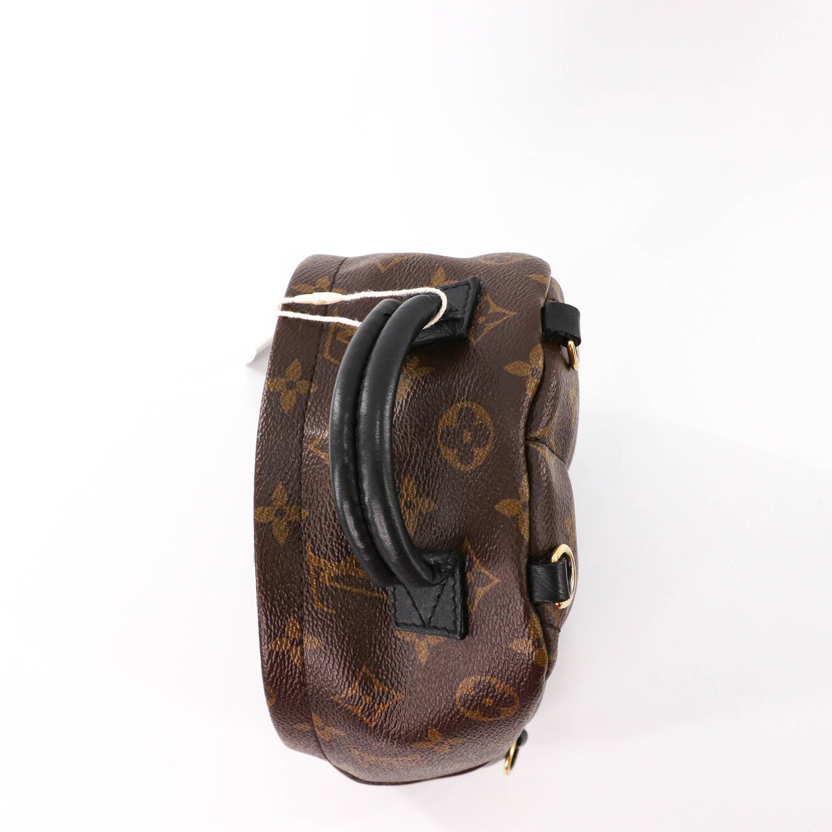 Louis-Vuitton Palm Springs Mini Backpack Monogram Canvas