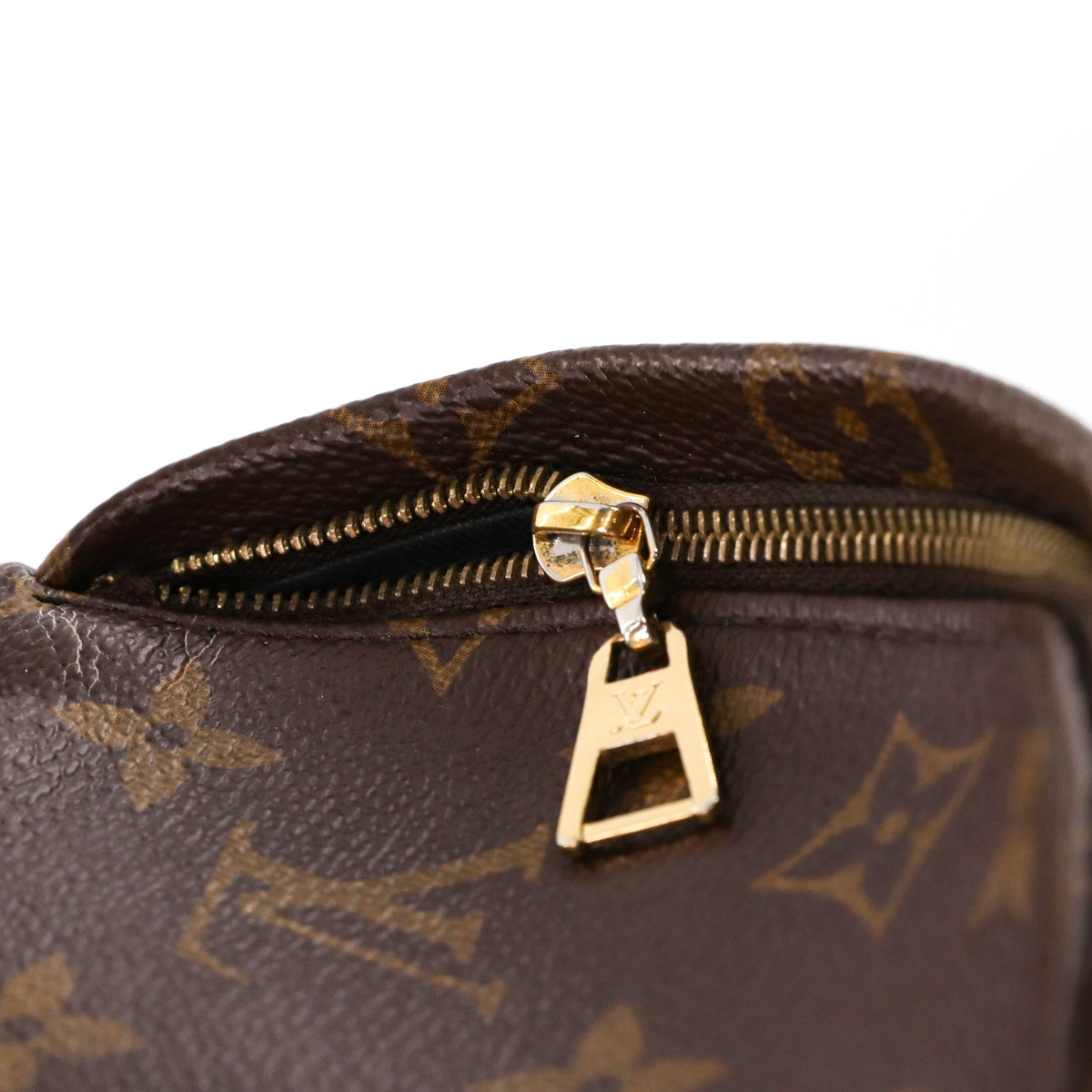 Louis-Vuitton Palm Springs Mini Backpack Monogram Canvas