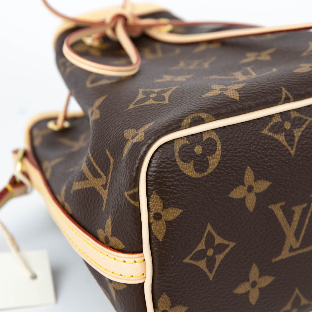 Louis-Vuitton Nano Monogram Noe Bag