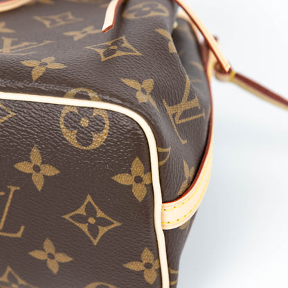 Louis-Vuitton Nano Monogram Noe Bag