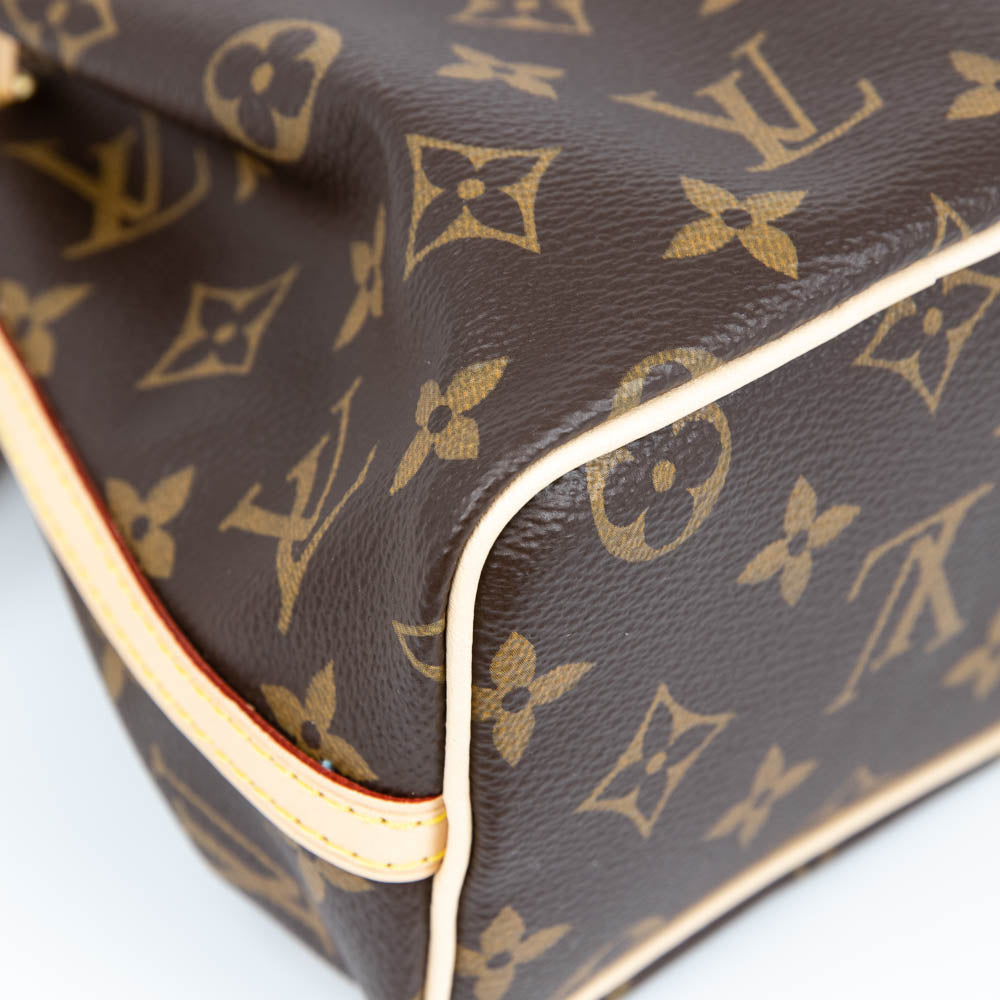 Louis-Vuitton Nano Monogram Noe Bag