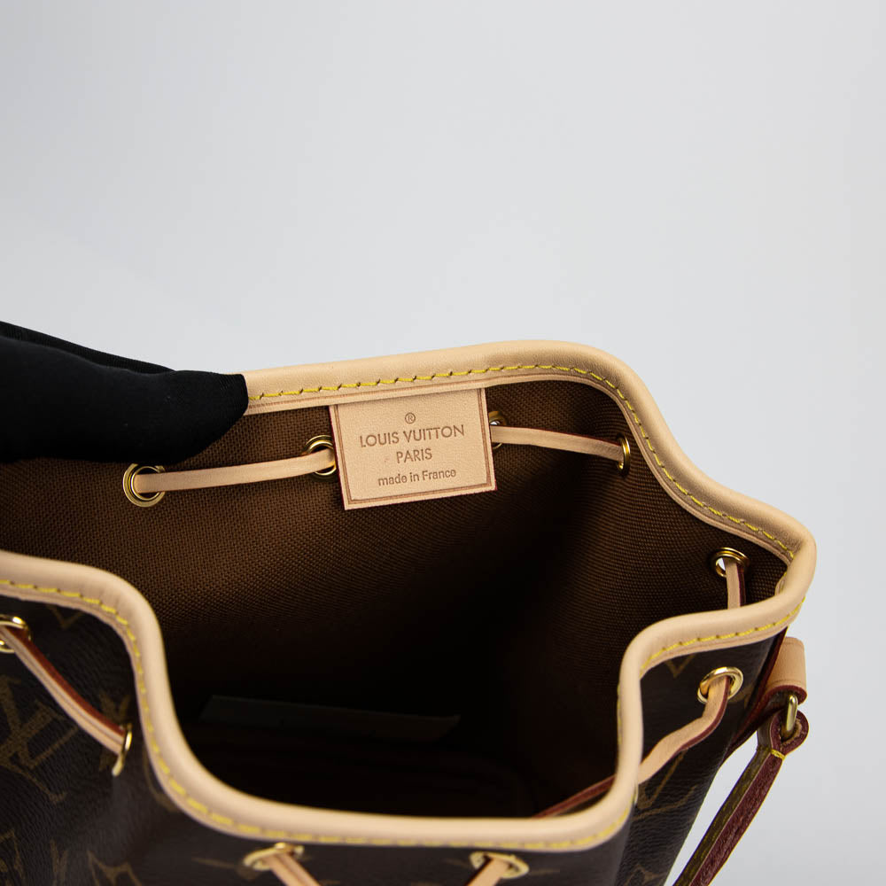 Louis-Vuitton Nano Monogram Noe Bag