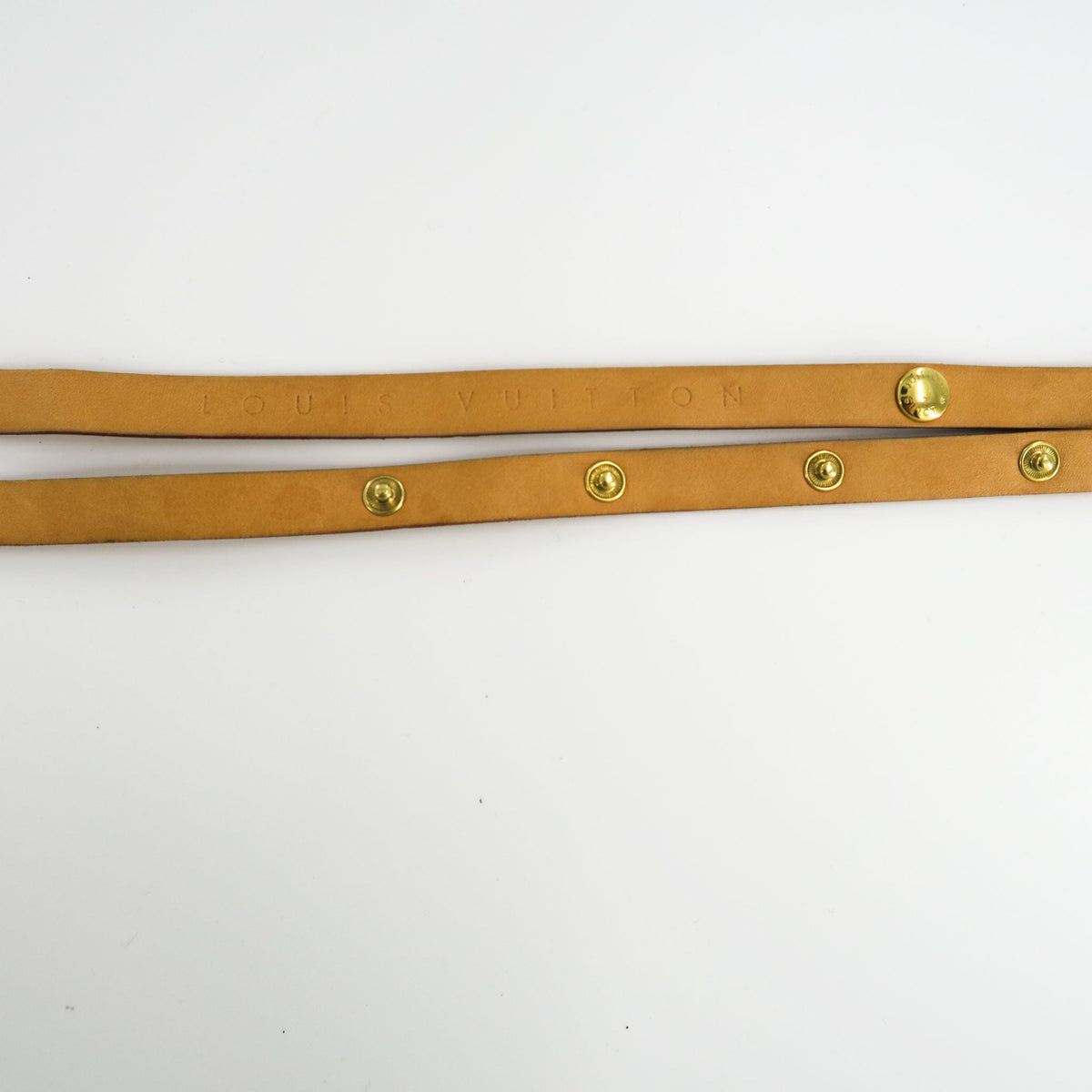 Louis-Vuitton Florentine Belt Bag Fanny Pack