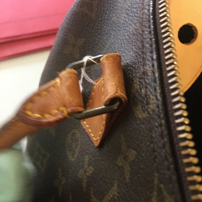 LOUIS VUITTON Speedy Handbag in Brown Canvas