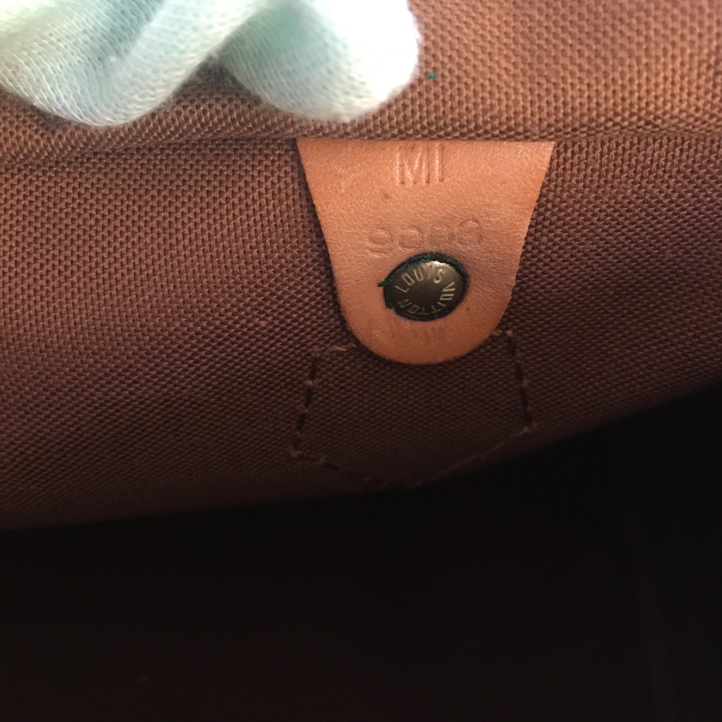 LOUIS VUITTON Speedy Handbag in Brown Canvas