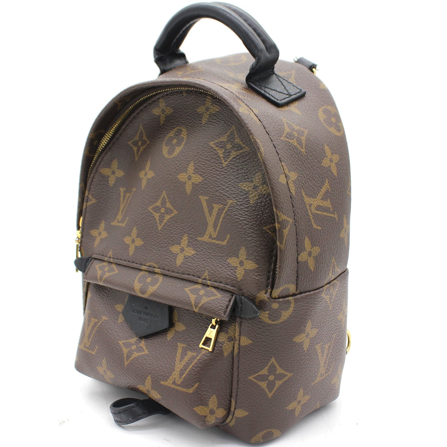Louis-vuitton Palm Spring Mini Backpack Monogram Canvas