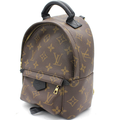 Louis-vuitton Palm Spring Mini Backpack Monogram Canvas