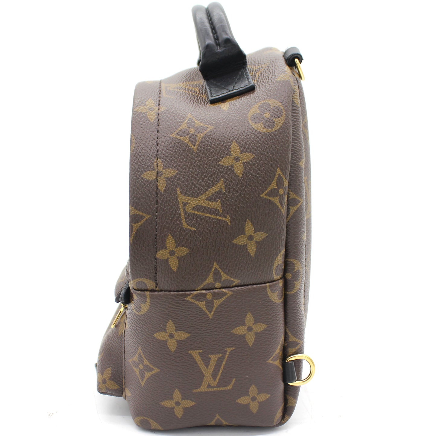 Louis-vuitton Palm Spring Mini Backpack Monogram Canvas