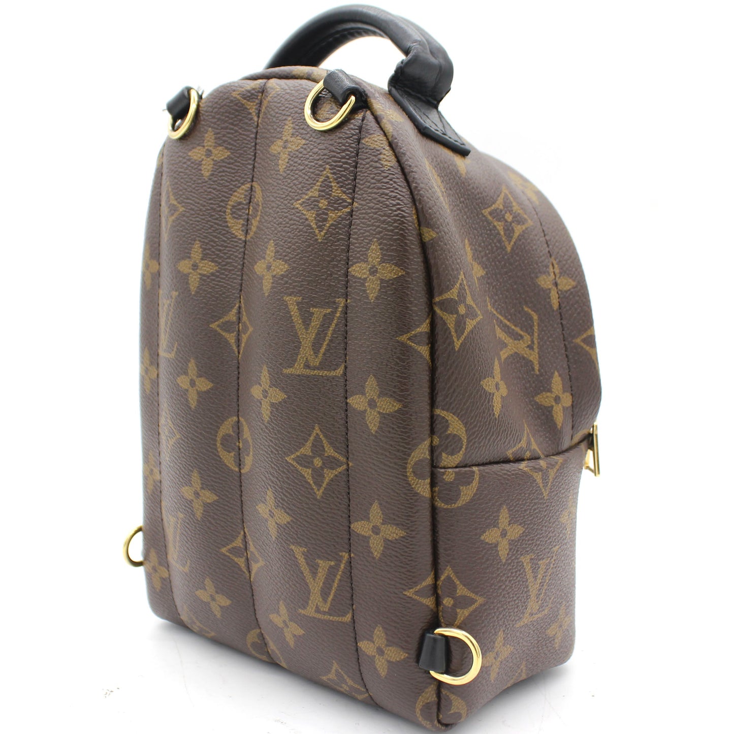 Louis-vuitton Palm Spring Mini Backpack Monogram Canvas
