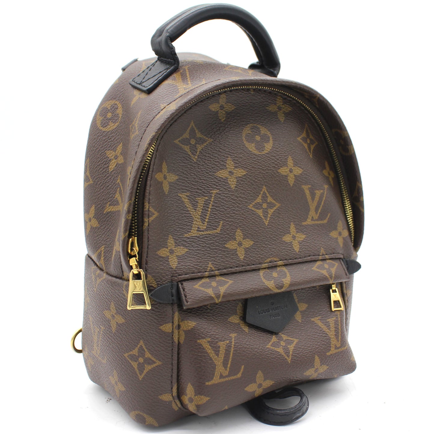 Louis-vuitton Palm Spring Mini Backpack Monogram Canvas