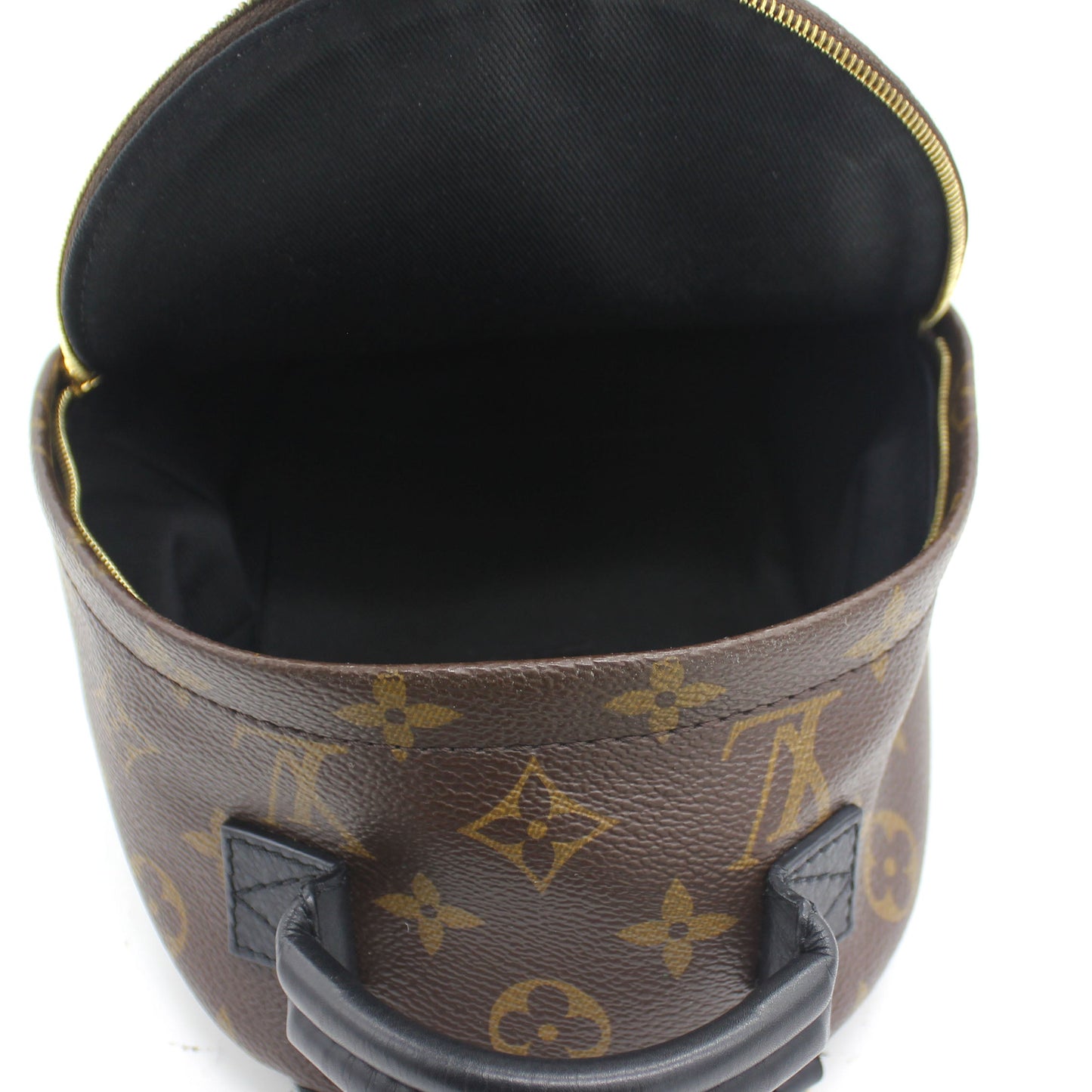 Louis-vuitton Palm Spring Mini Backpack Monogram Canvas