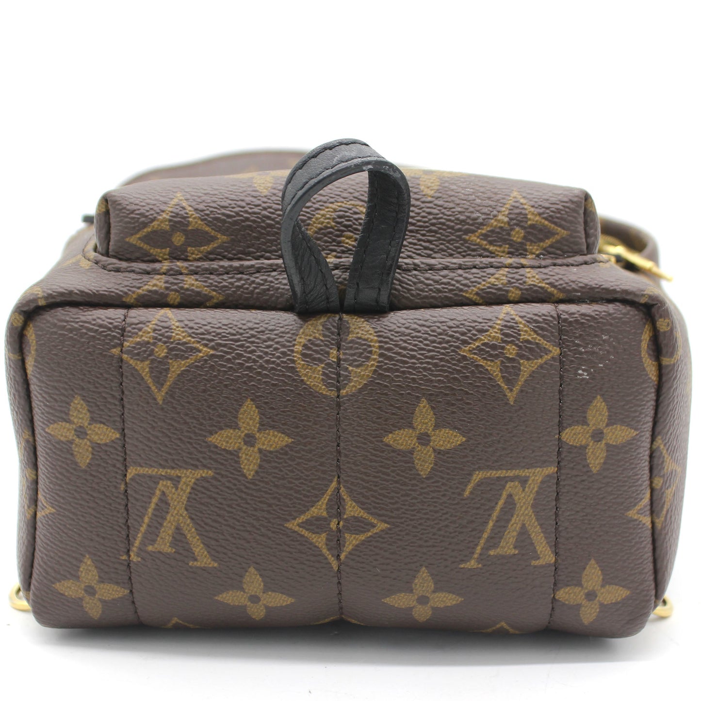 Louis-vuitton Palm Spring Mini Backpack Monogram Canvas