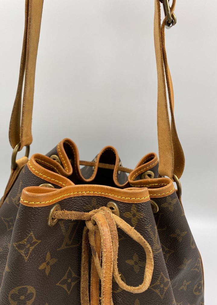 Louis Vuitton Petit Noé Bag