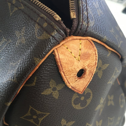 LOUIS VUITTON Speedy Handbag in Brown Canvas