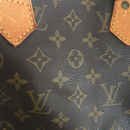 LOUIS VUITTON Speedy Handbag in Brown Canvas