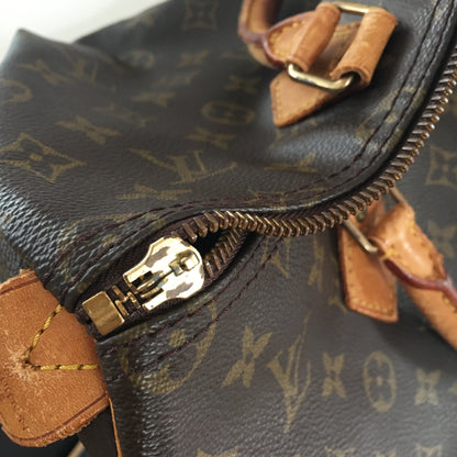 LOUIS VUITTON Speedy Handbag in Brown Canvas