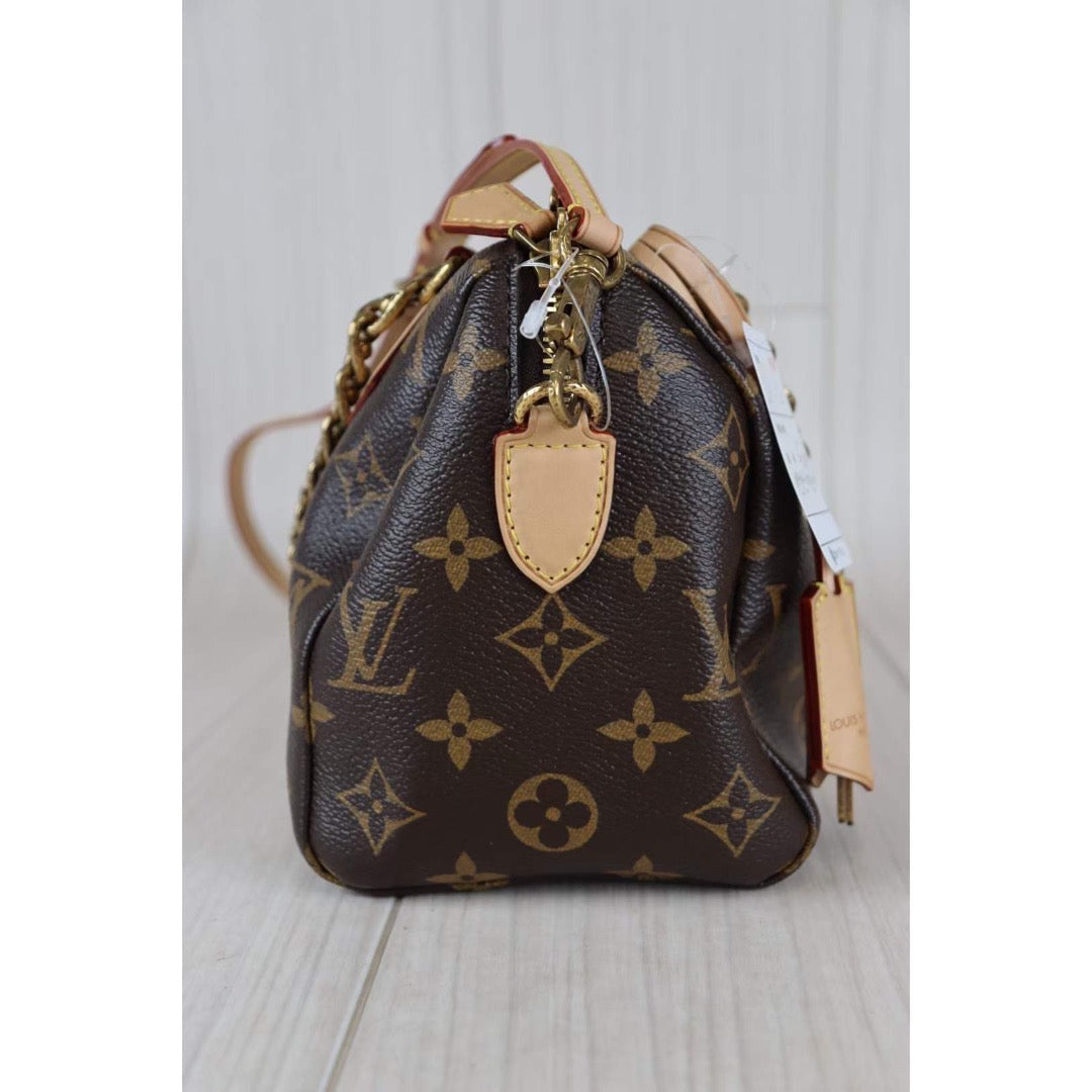 Rank AB ｜ LV Monogram Speedy Chain 20｜091314