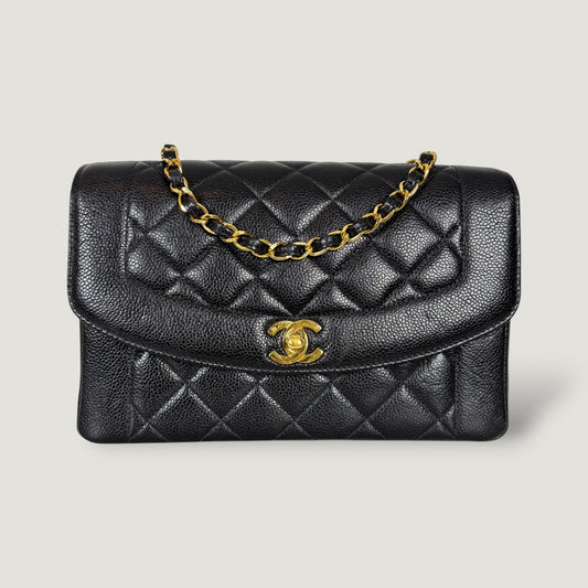 CHANEL DIANA MEDIUM SQUARE BAG