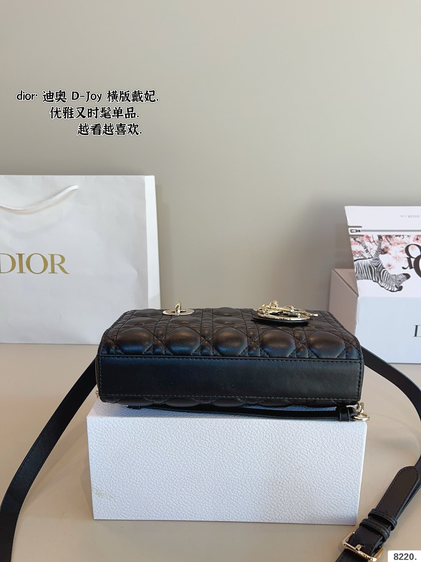 DR493 Small Lady D-Joy Bag / 8.5x4.5x2.5inches