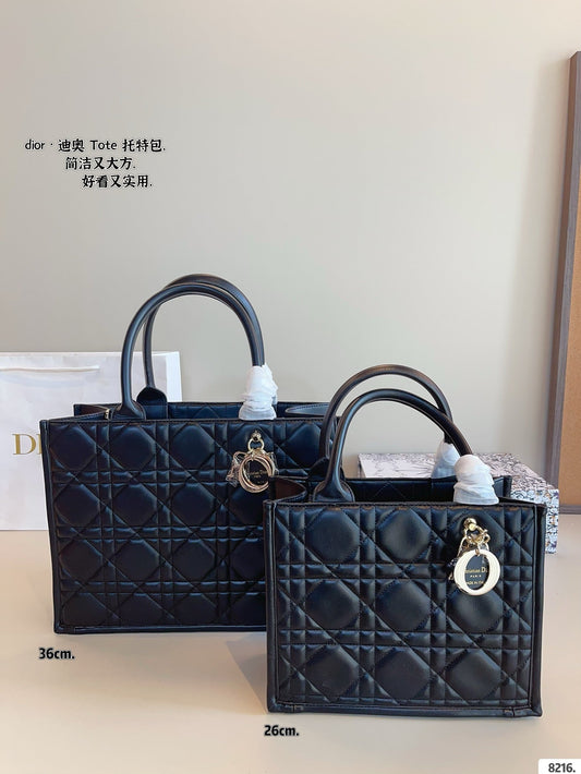 DR496 Small/Medium Dior Book Tote