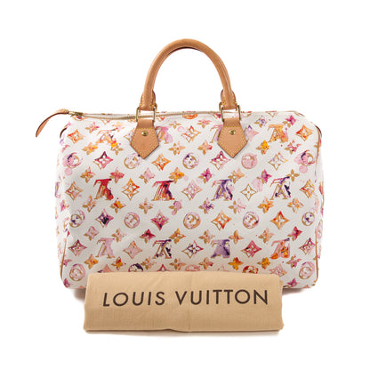 Louis-Vuitton Watercolor Speedy 35