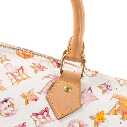 Louis-Vuitton Watercolor Speedy 35
