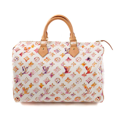 Louis-Vuitton Watercolor Speedy 35