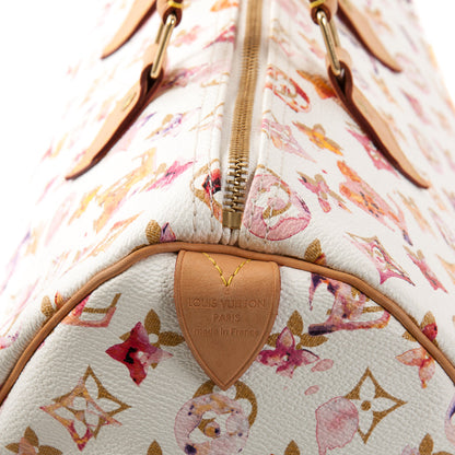 Louis-Vuitton Watercolor Speedy 35