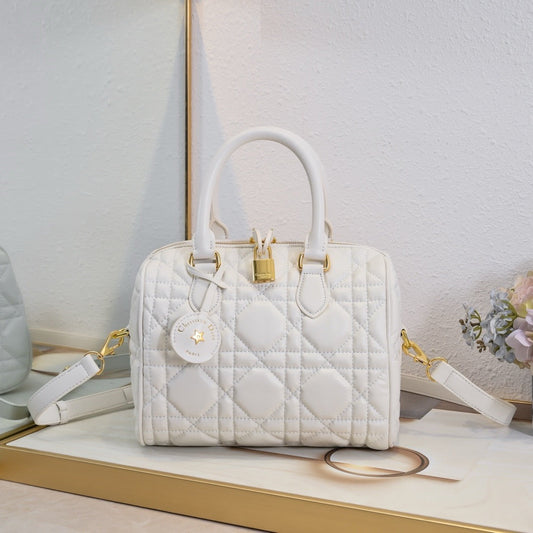 DR504 Dior Groove 17/2025 Bag