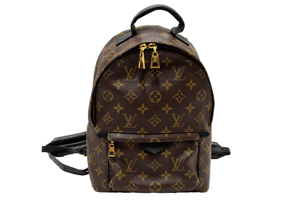 Louis Vuitton Classic Monogram Palm Springs PM Backpack