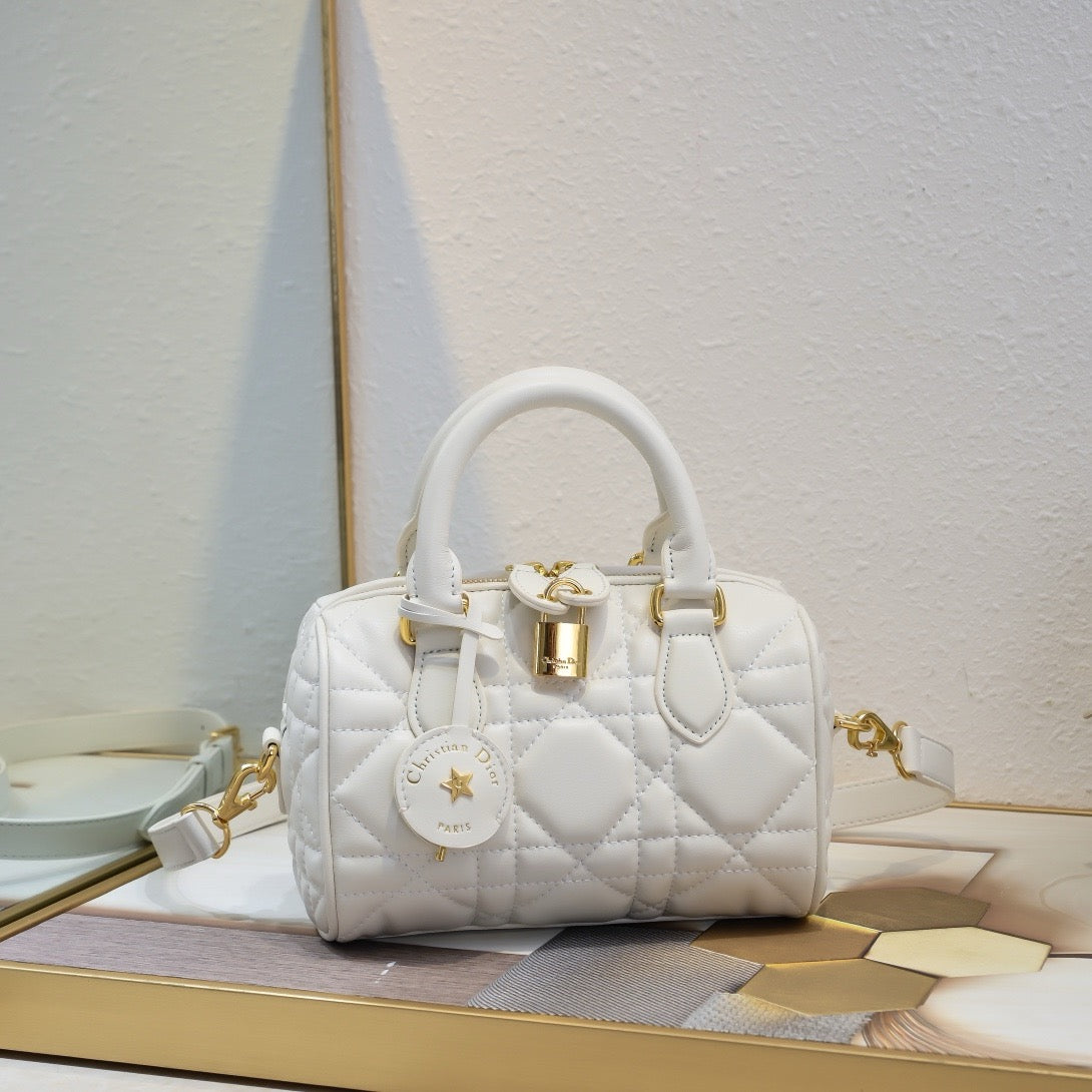 DR502 Dior Groove 17/2025 Bag