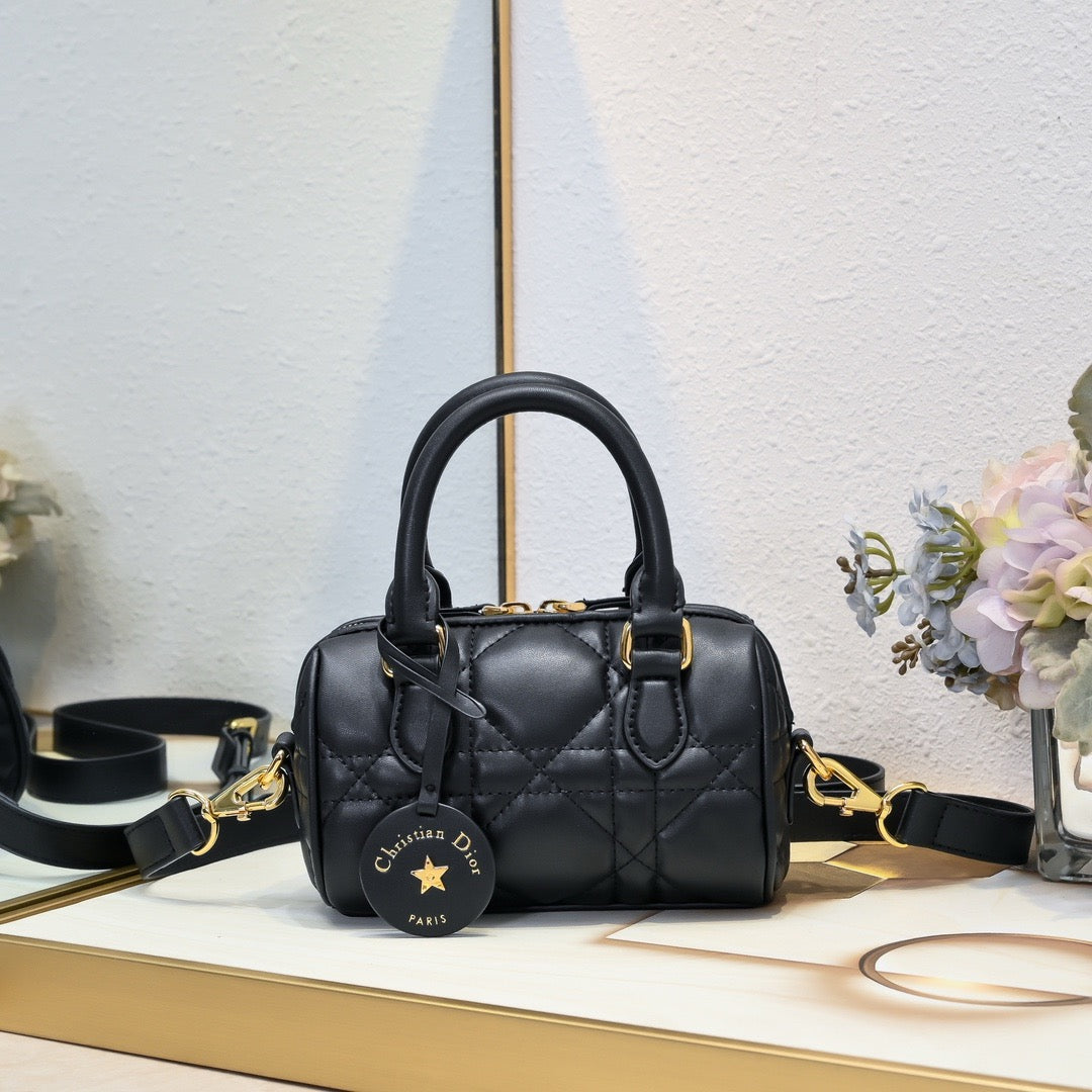 DR502 Dior Groove 17/2025 Bag