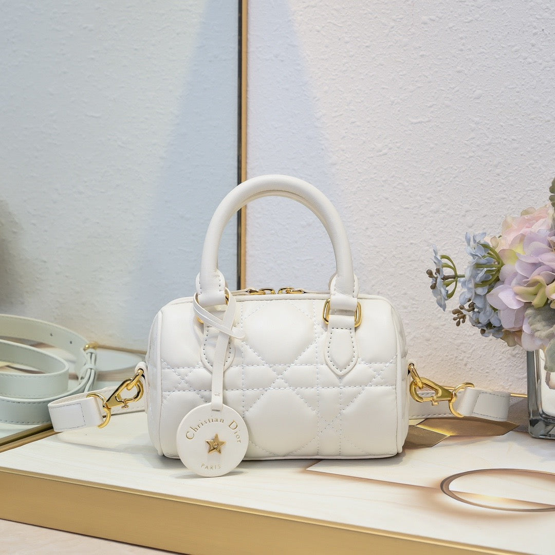 DR502 Dior Groove 17/2025 Bag