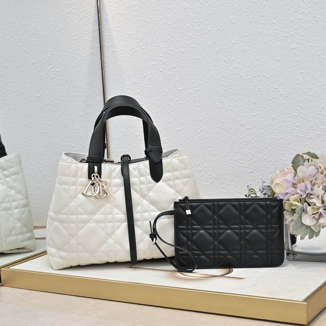 DR509 Small/Medium Dior Toujours Bag