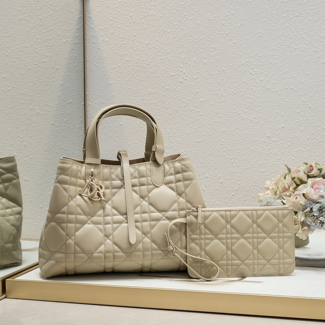DR509 Small/Medium Dior Toujours Bag