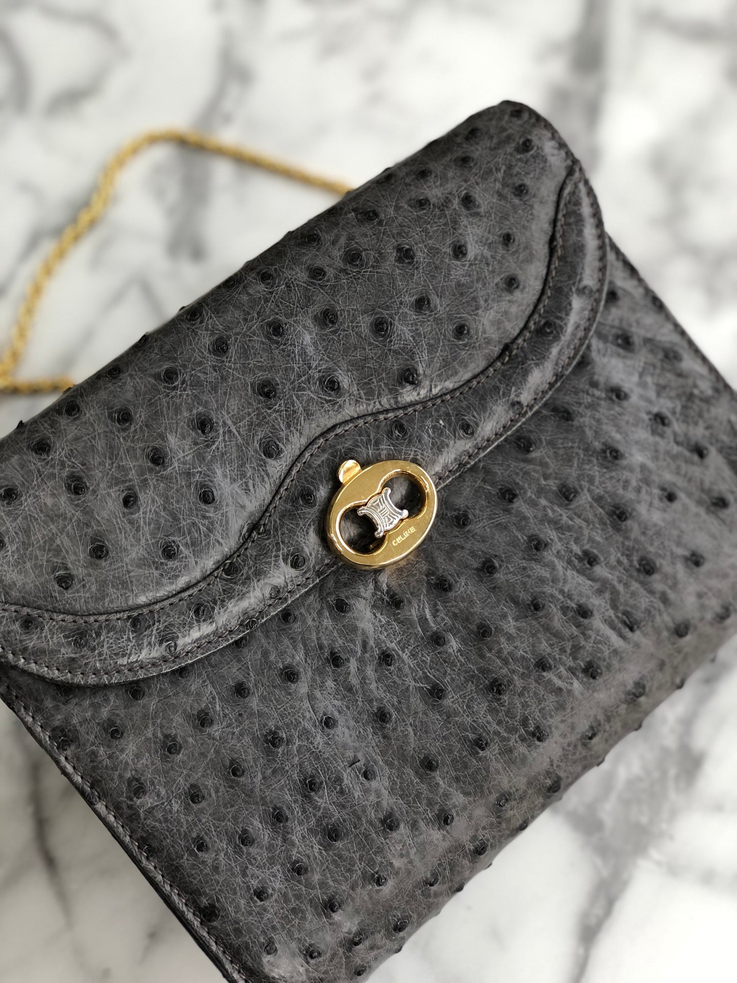 CELINE  Triomphe Ostrich Two way Chain Shoulder Bag Clutch bag Gray Old Celine Vintage vybyhv