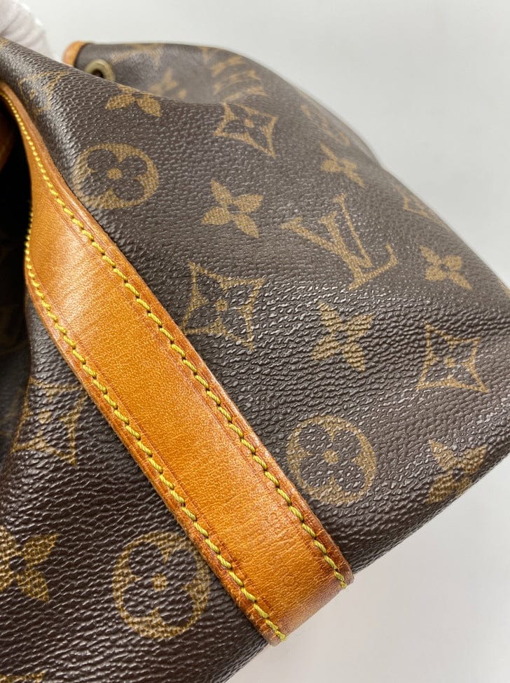 Louis Vuitton Petit Noé Bag