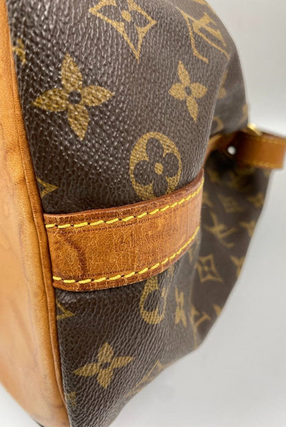 Louis Vuitton Petit Noé Bag