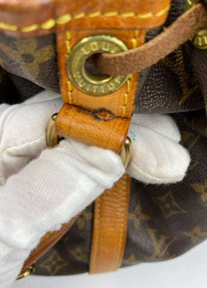 Louis Vuitton Petit Noé Bag