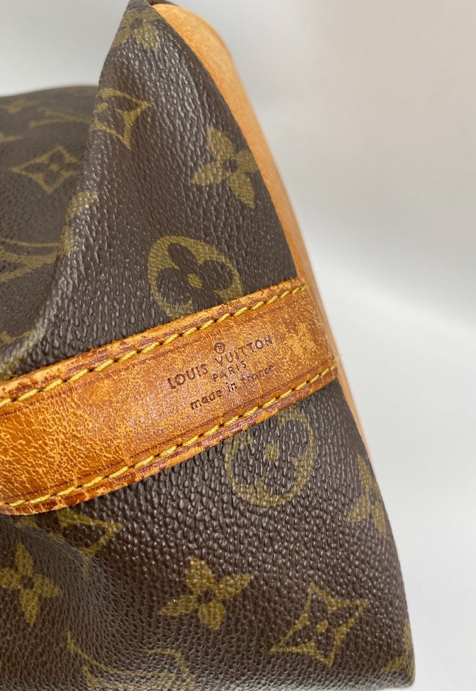 Louis Vuitton Petit Noé Bag