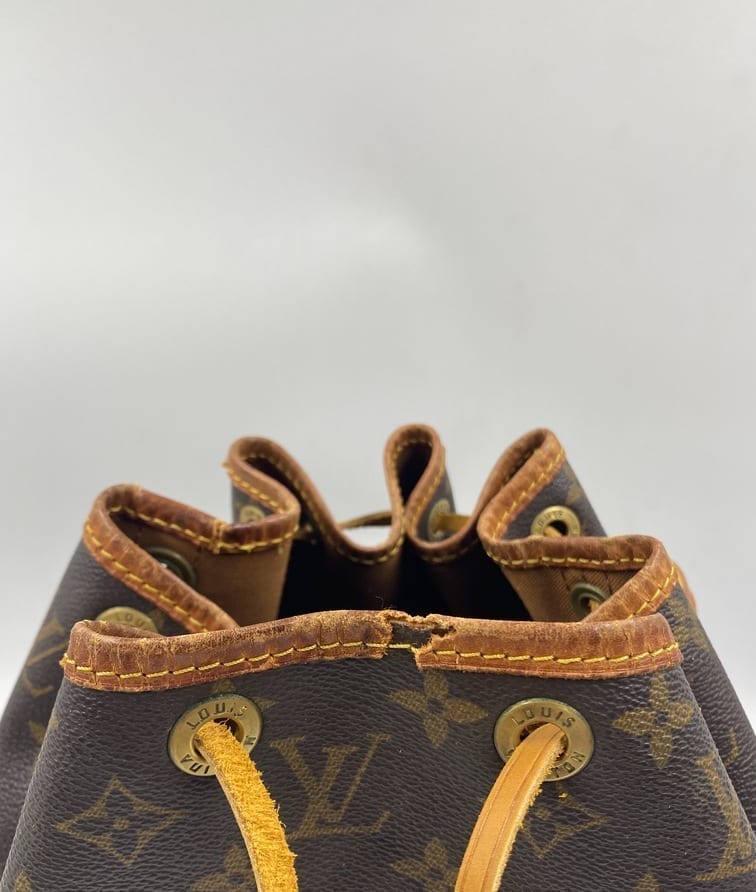 Louis Vuitton Petit Noé Bag