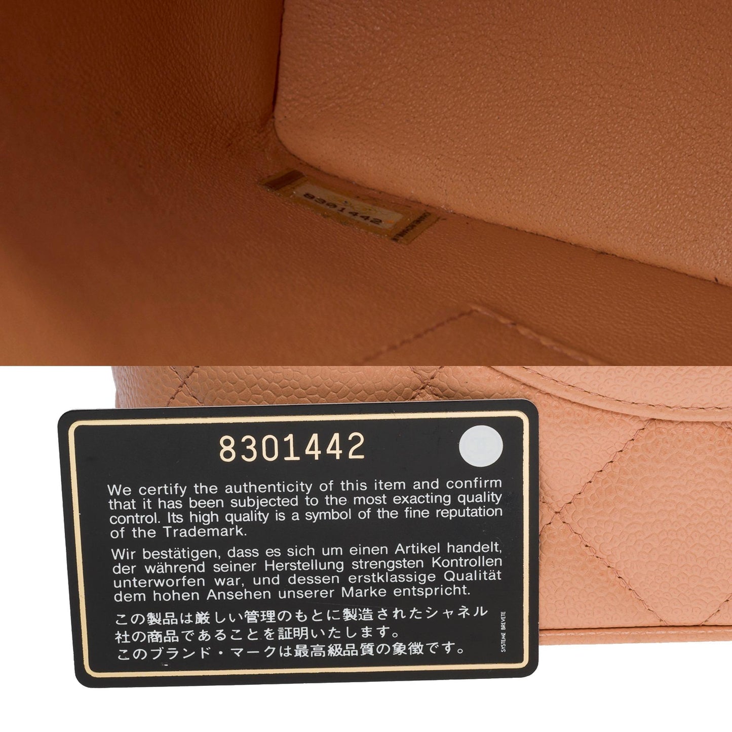 CHANEL Beautiful Cabas Medallion bag in salmon caviar leather, GHW