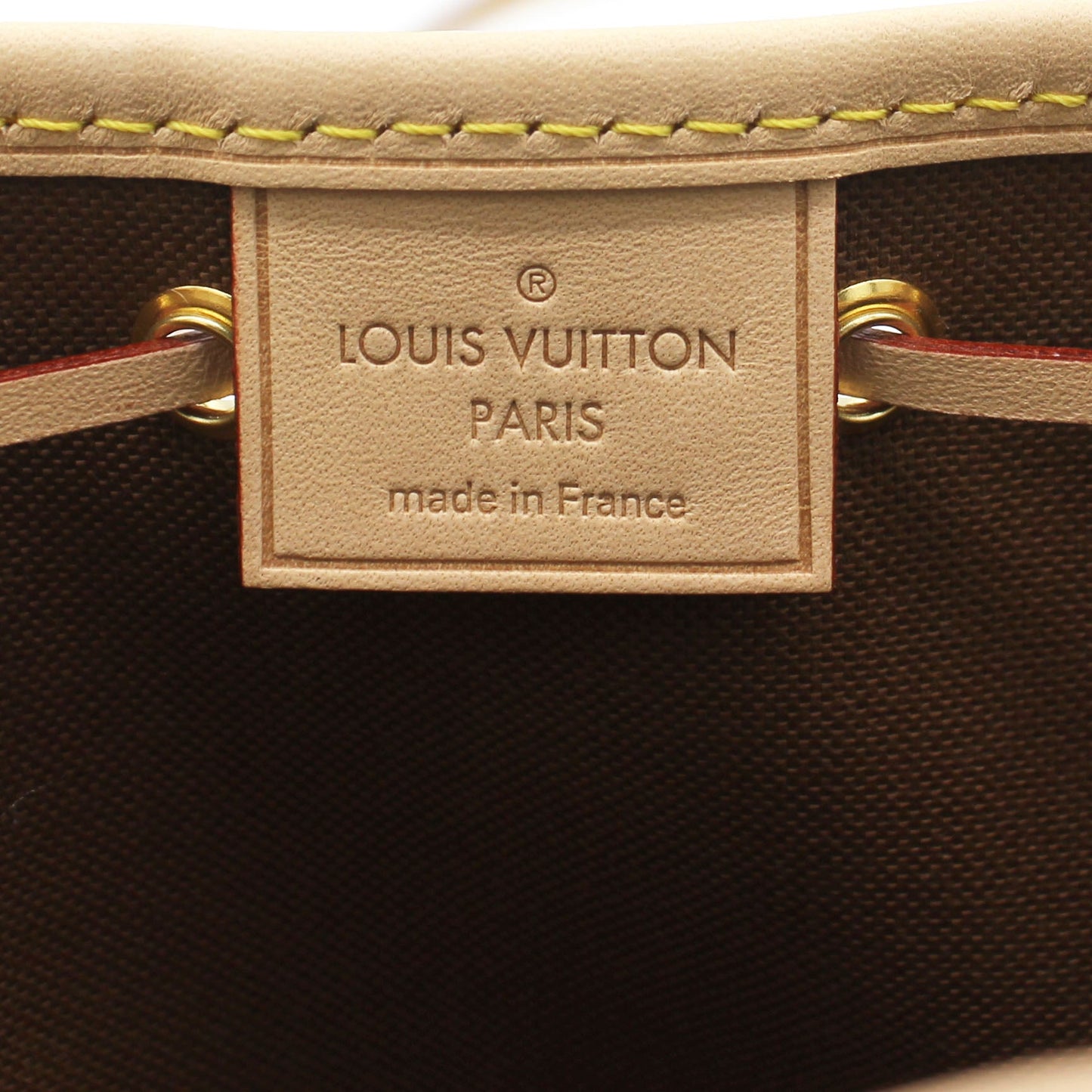 Louis-vuitton Monogram Canvas Nano Neo Bag