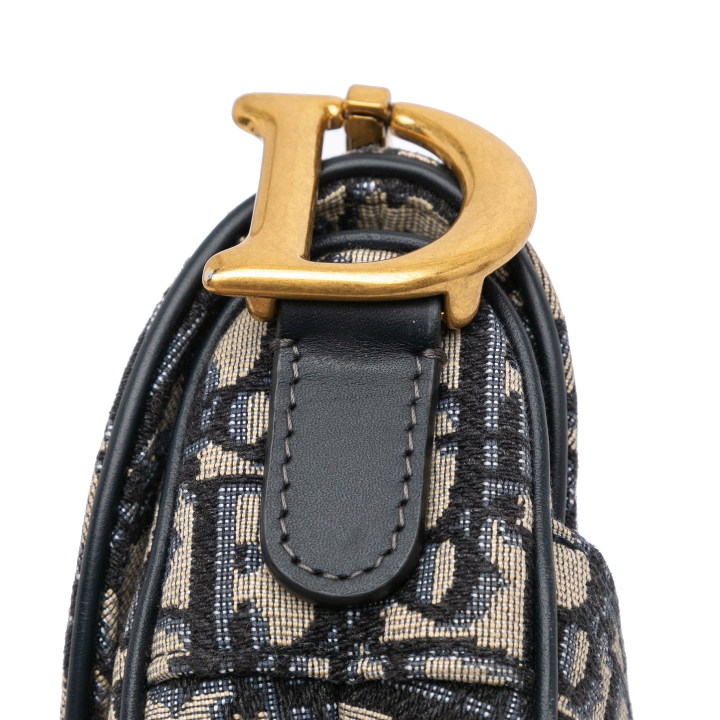 Oblique Canvas Saddle Bag
