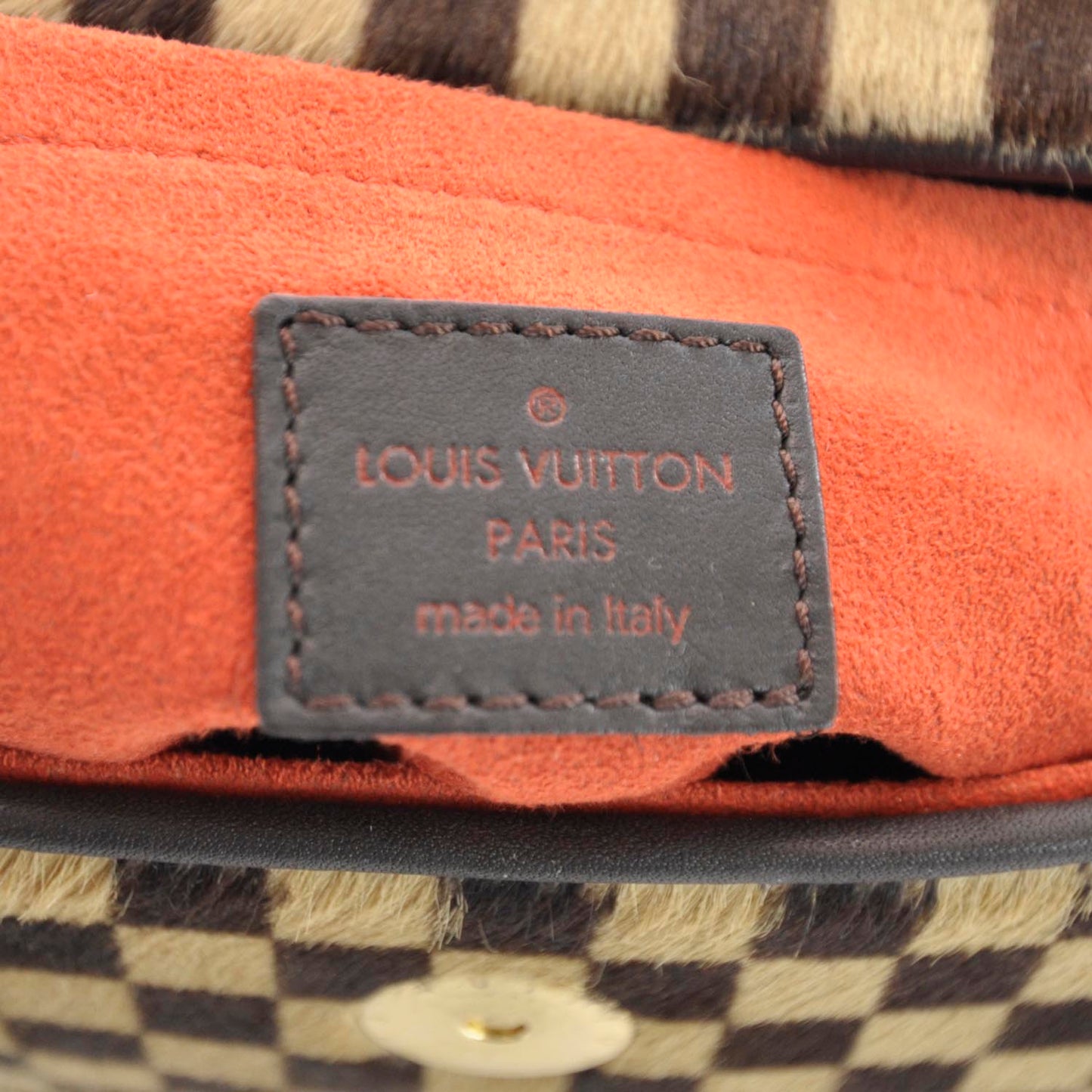 LOUIS VUITTON DAMIER SAUVAGE LIONNE CALF HAIR HANDBAG
